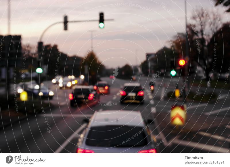 The driver was out of focus. He was sober. Vacation & Travel Trip Night sky Town Transport Street Vehicle Driving Multicoloured Emotions Traffic light