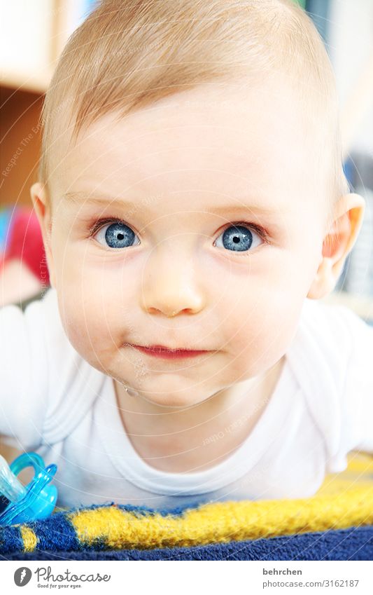 2011 Baby Boy (child) Family & Relations Infancy Skin Head Hair and hairstyles Face Eyes Ear Nose Mouth Lips 0 - 12 months Curiosity Cute Blue Happy Happiness