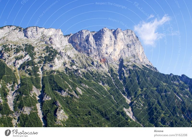 challenge Mountain Hiking Landscape Sky Summer Beautiful weather Alps Berchtesgaden Alpes Large Tall Natural Cliche Blue Green White Joie de vivre (Vitality)