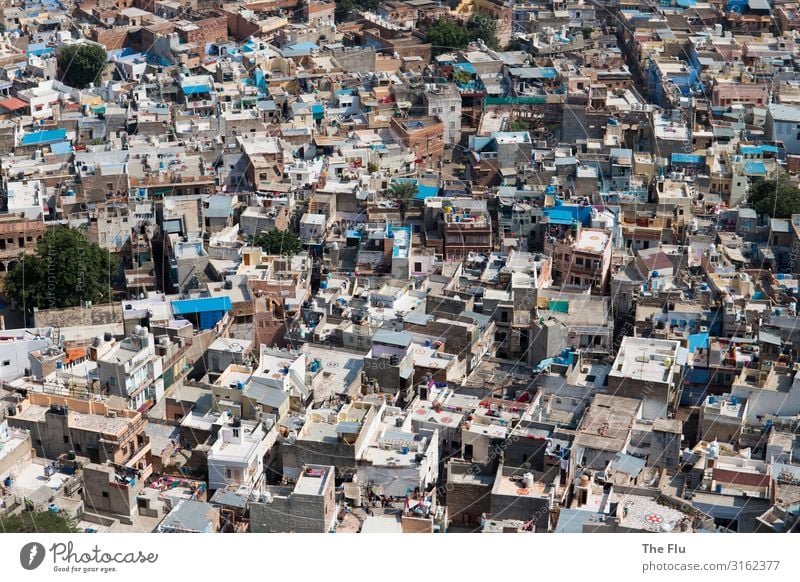 Jodhpur - Rajasthan Vacation & Travel City trip Summer Jodphur India Asia Town Downtown Old town Deserted House (Residential Structure) Facade Roof Street