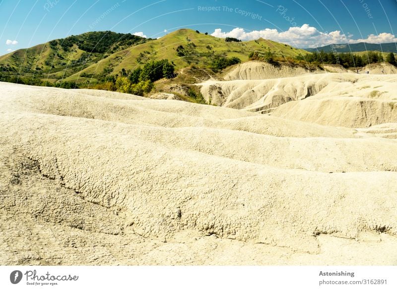 (Un)fertile Environment Nature Landscape Earth Sand Sky Clouds Summer Weather Beautiful weather Drought Plant Tree Grass Bushes Meadow Hill Mountain Carpathians