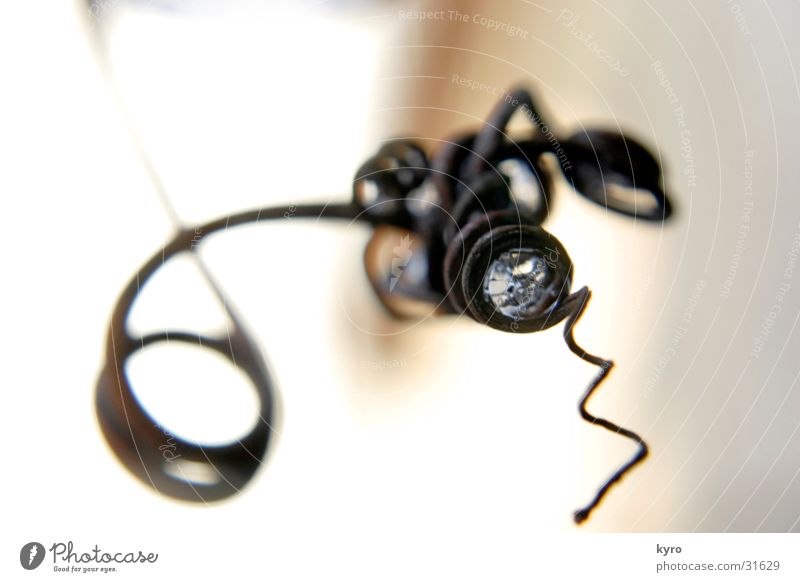 design by nature Wood Blur Near Depth of field Round Structures and shapes Ice Macro (Extreme close-up) Vine Spiral Entwine Complicated Wound up Distorted