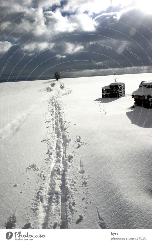 Tracks in the snow White Footwear Palett Wood Tree Cold Clouds Flake Dark Snow Feet Sky Sun Shadow Ice Bright