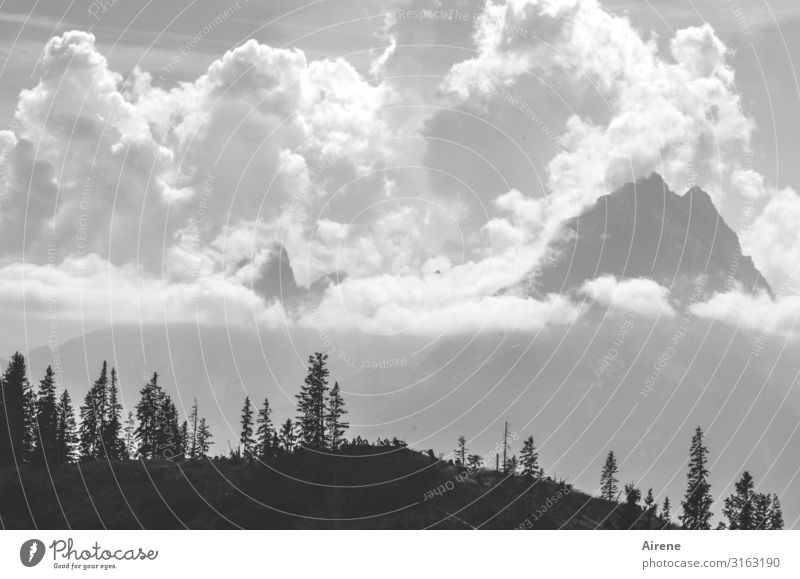 Clouds Mountains Hiking Sky Beautiful weather Alps Watzmann Peak Mountain forest Gigantic Tall Black White Joie de vivre (Vitality) Success Fear of heights