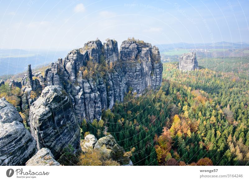 Schrammsteine and Falkenstein in autumn Autumn Saxon Switzerland scratchstones falconry brick panoramic view Landscape Mountain Elbsandstone mountains