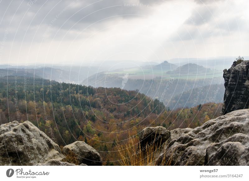 View from the Breite Kluft over the Elbe valley to the Zirkelstein and the Kaiserkrone Autumn Saxon Switzerland Elbsandstone mountains Landscape Mountain