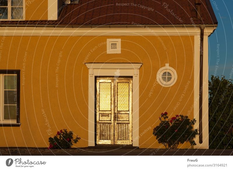 golden door House (Residential Structure) Building Facade Window Eaves Wood Gold Sunlight Evening sun Light Illuminate Rose bushes Lilac Summer Summer evening