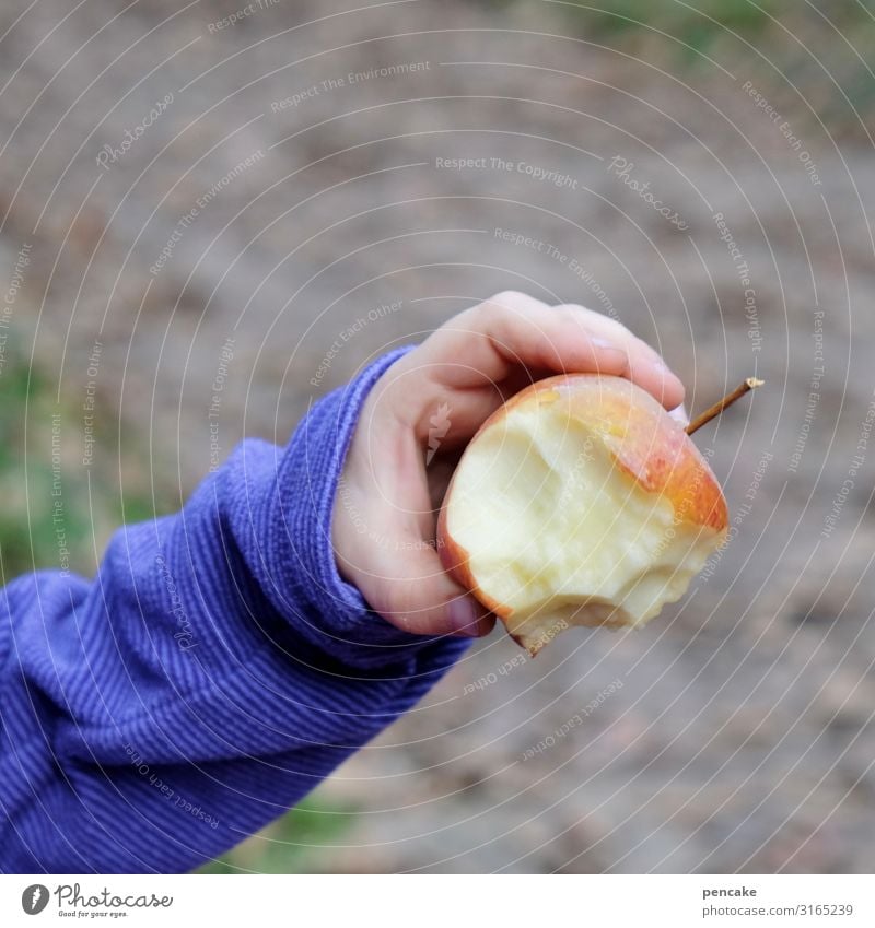 noise | cord Apple Fruit Red Nutrition Healthy Close-up Fresh Organic produce Food Juicy Child Children`s hand Shallow depth of field Sweet Colour photo