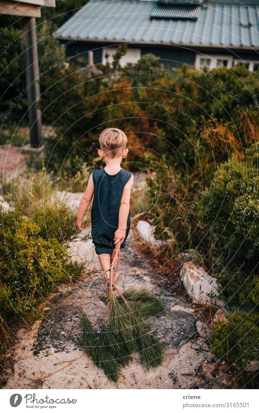 little boy walking in the forest next to cabin Joy Happy Summer Hiking Child Human being Boy (child) Nature Park Forest Walking young people run Action