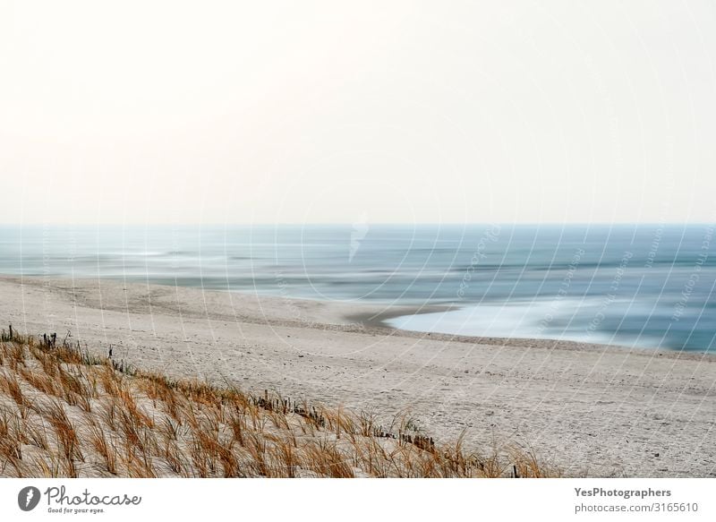 North sea beach with marram grass. Sylt island beach landscape Relaxation Vacation & Travel Summer Beach Ocean Nature Landscape Sand Water Sky Climate change