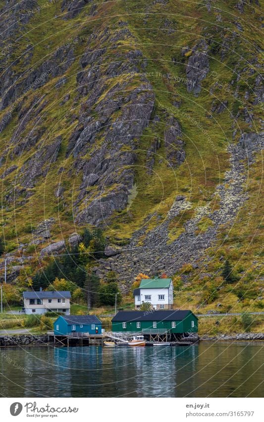 Mountains and sea Vacation & Travel Trip Environment Nature Landscape Autumn Rock Coast Fjord Ocean Ballstad Norway Vacation in Norway Scandinavia Lofotes