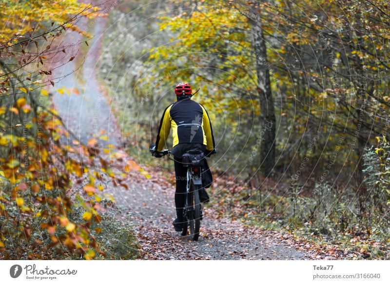 Mountain biking in autumn Sports Cycling Environment Nature Landscape Plant Autumn Esthetic Mountain bike Colour photo Exterior shot