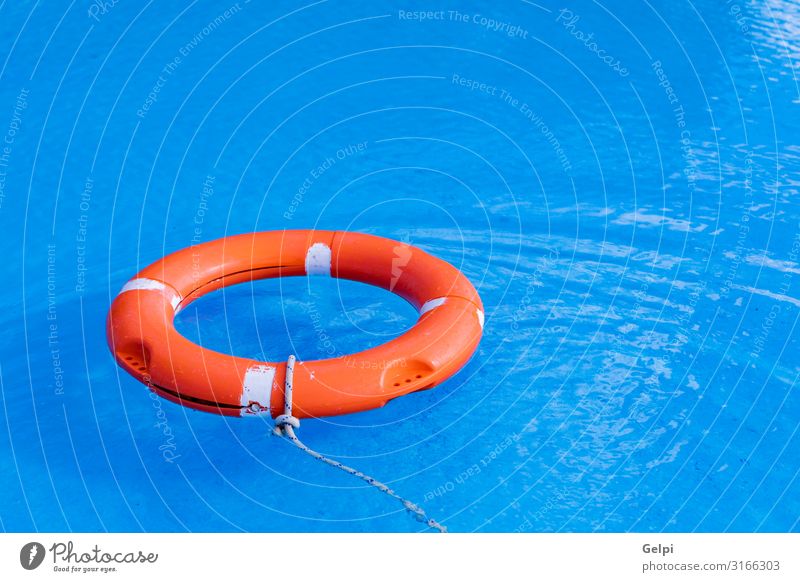 Colorful floats on a pool Joy Beautiful Relaxation Swimming pool Leisure and hobbies Vacation & Travel Summer Sun Beach Water Ring Plastic Blue Red Colour