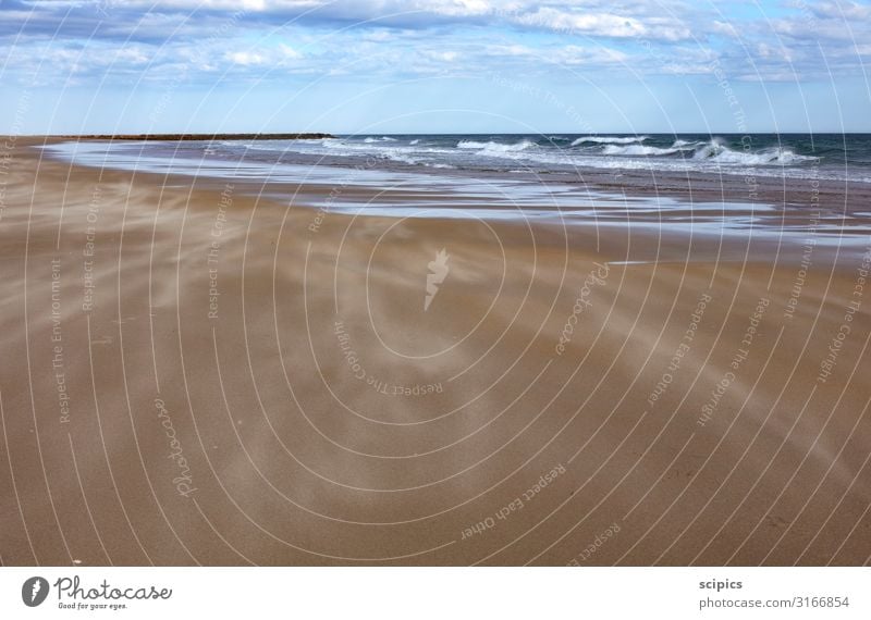 Wind and waves Life Vacation & Travel Tourism Ocean Waves Swimming & Bathing Environment Landscape Water Sky Clouds Horizon Gale Coast Beach Baltic Sea Stone