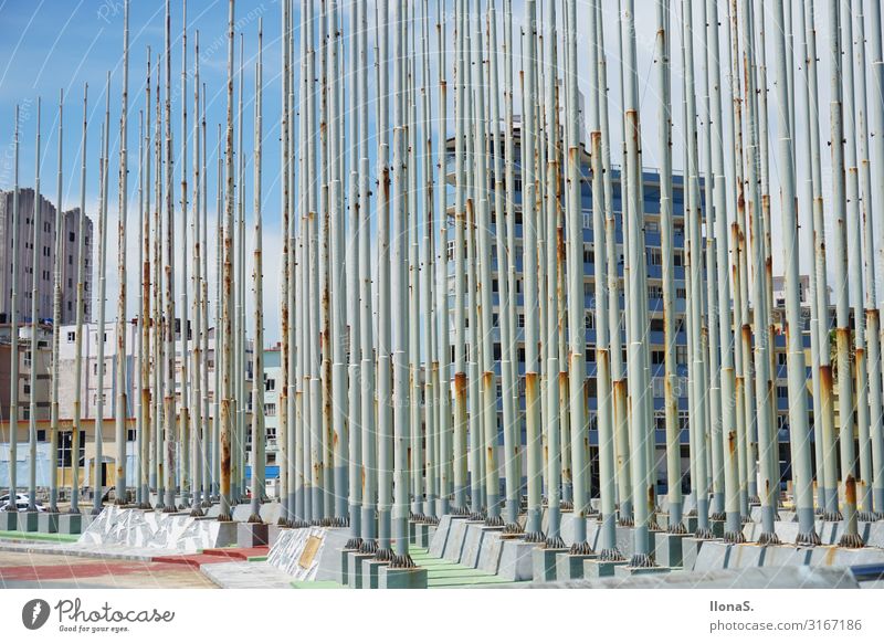 Flagpoles in Havana Vacation & Travel Tourism Trip Far-off places Sightseeing City trip Cruise Summer Summer vacation Sun Beach Ocean Island Waves