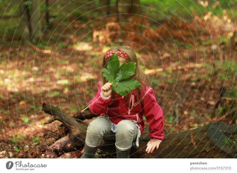 Child sits on a tree root in the forest and holds a large green leaf in front of his face. Hide Joy Leisure and hobbies Playing Children's game Adventure Summer