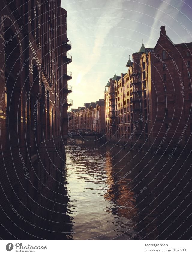 Behind the bend is the Elbphilharmonie Vacation & Travel Sightseeing Beautiful weather Fleet Hamburg Town Deserted Manmade structures Building Architecture