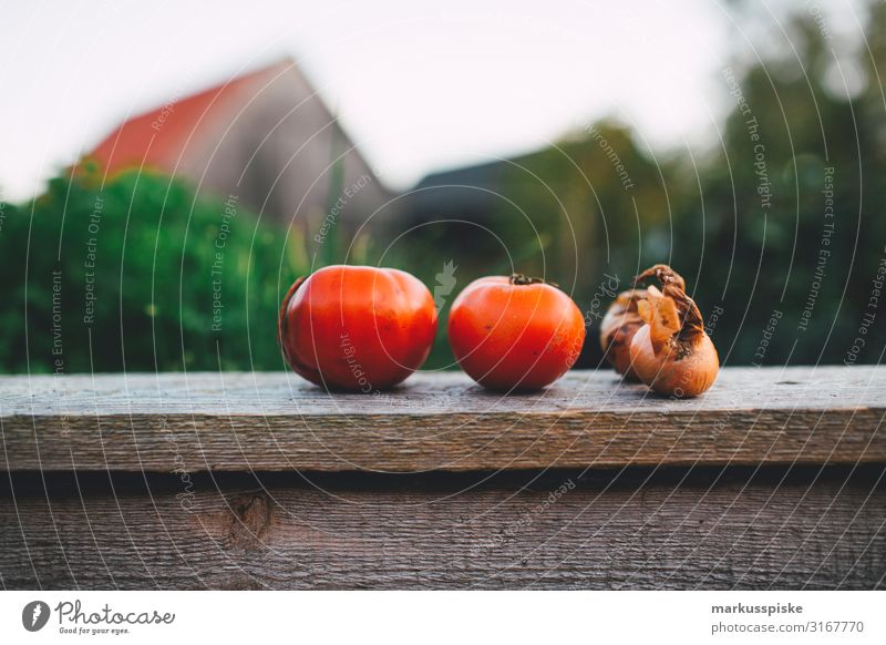 Tomatoes and onions from the raised bed Food Vegetable Garden Bed (Horticulture) Onion self-sufficiency Urban gardening Nutrition Eating Organic produce