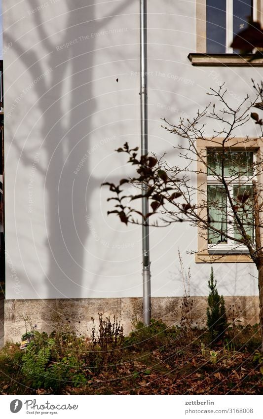 Unknown building Old building House (Residential Structure) Apartment Building Wall (building) Wall (barrier) Residential area Living or residing Town Downtown