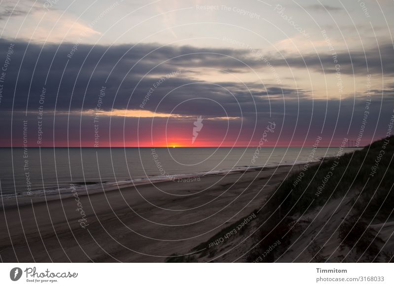 In the evening on the dune Vacation & Travel Environment Nature Elements Sand Air Water Sky Clouds Night sky Sunrise Sunset Beautiful weather Coast Beach