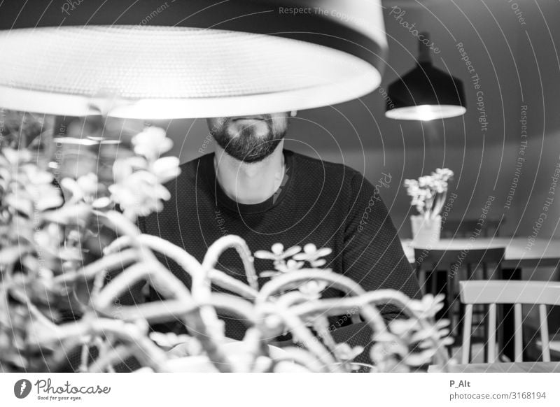 Bearded Guy in Coffee Place Nature To talk Esthetic Café Facial hair Beard hair Lamp Smiling Still Life Black & white photo Interior shot