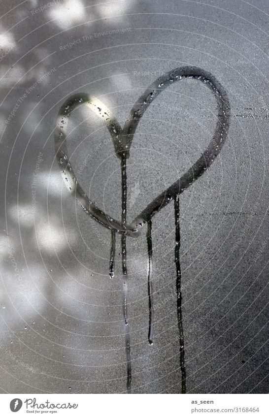 Weeping Heart Autumn Winter Window Authentic Wet Gray Black White Emotions Warm-heartedness Sympathy Love Infatuation Romance Sadness Grief Lovesickness Joy