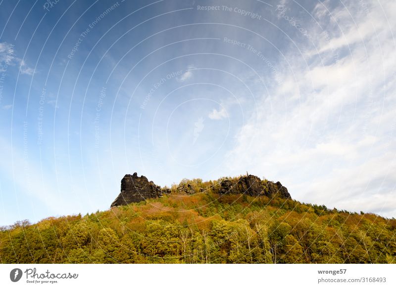 The autumnal lily stone in the Elbe Sandstone Mountains Liliesstein Elbsandstone mountains Nature Saxon Switzerland Autumn Autumnal Sense of Autumn Automn wood