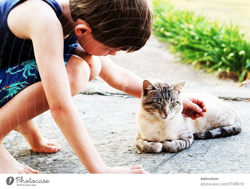 love of animals Vacation & Travel Tourism Trip Adventure Far-off places Freedom Boy (child) Infancy Head Hair and hairstyles Ear Back Arm Fingers Legs