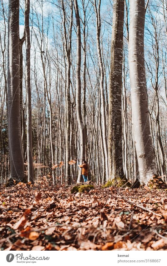 Woman hugs tree in the forest Life Harmonious Well-being Contentment Senses Relaxation Calm Meditation Leisure and hobbies Freedom Human being Feminine Adults 1