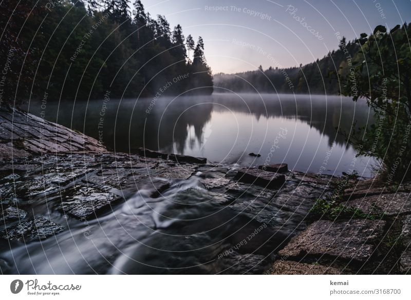 tributary Life Well-being Contentment Senses Relaxation Calm Trip Adventure Freedom Nature Landscape Water Spring Beautiful weather Fog Tree Forest Lakeside