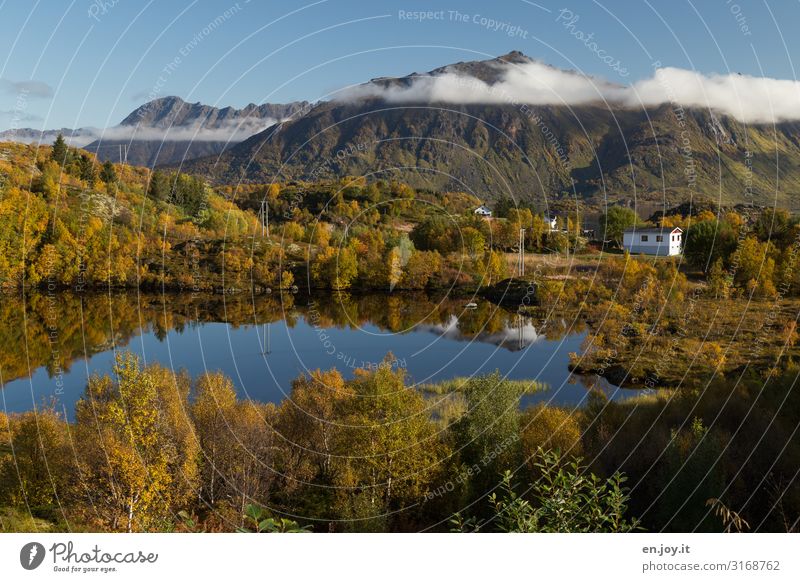 dream house Vacation & Travel Environment Nature Landscape Sky Clouds Autumn Beautiful weather Forest Hill Mountain Lake Lofotes Scandinavia Norway