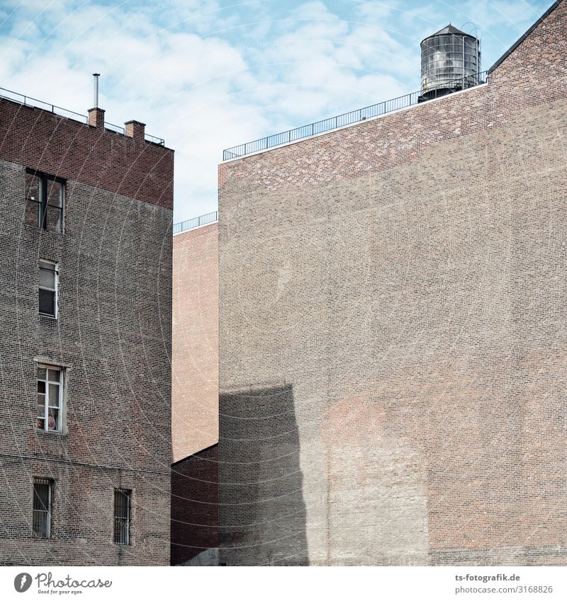 Look at the wall, dude! New York City USA Town Downtown Deserted House (Residential Structure) Manmade structures Building Architecture Wall (barrier)