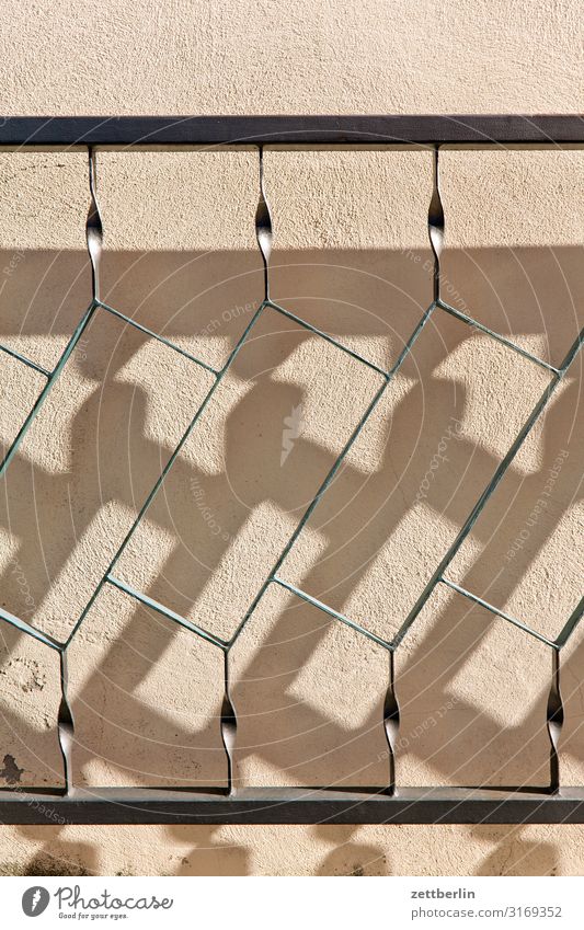 shadow Fence Door Border Gate Iron Wrought iron Light Shadow Original Disagreement Deception Concepts &  Topics Reaction Image Illustration Colour photo