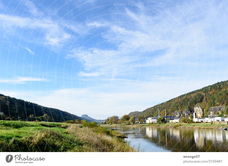 The Elbe valley near Bad Schandau with the Lilienstein in the background Autumn Saxon Switzerland River bank Elbe meadows Saxony Liliesstein Horizon