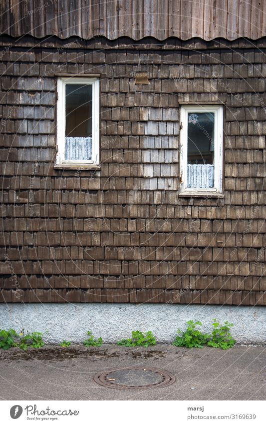 The oblique view Detached house Building Wall (barrier) Wall (building) Window shingle wall Roofing tile Wood Old Exceptional Together Uniqueness Brown Idyll