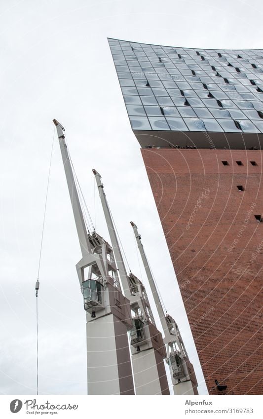 Three unemployed & one philatelist UT HH19 Dockside crane Crane Port of Hamburg Town Port City Architecture Tourist Attraction Landmark Elbe Philharmonic Hall