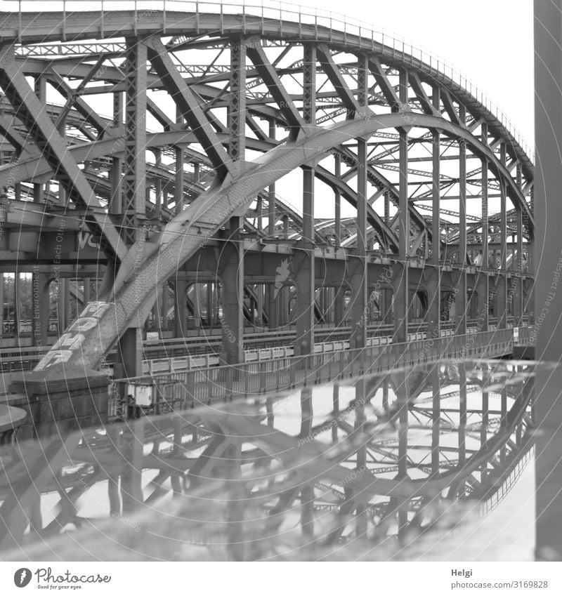 Elbe bridges Hamburg with reflection in a puddle Town Port City Bridge Manmade structures Architecture Elbbrücke Traffic infrastructure Street Rail transport