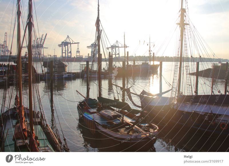 Old fishing boats in the museum harbour Övelgönne Hamburg in the evening light, in the background cranes of the container harbour Environment Water Autumn