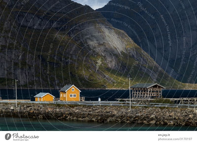 Small yellow house by the fjord in front of Bergen Vacation & Travel Nature Landscape Autumn Mountain Fjord Sakrisøy Reine Lofotes Norway Scandinavia Village