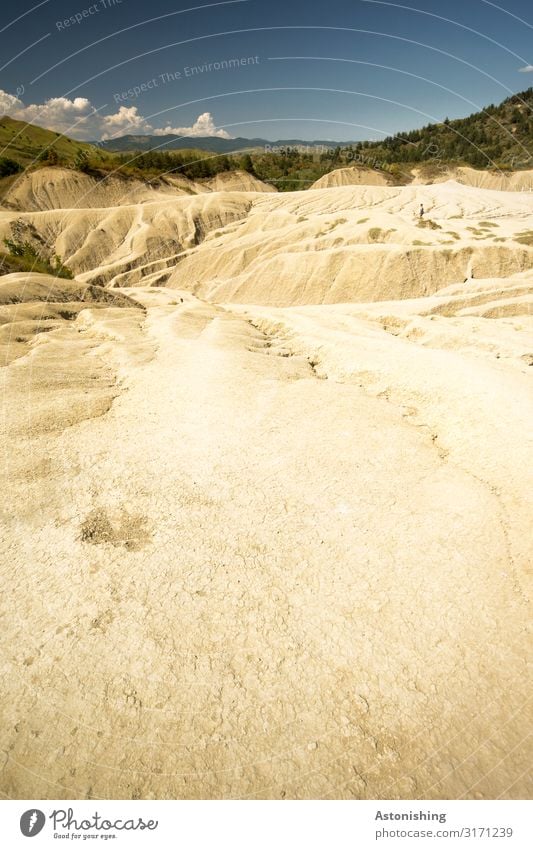 aridity Environment Nature Landscape Plant Earth Sand Air Sky Clouds Horizon Summer Weather Beautiful weather Drought Tree Grass Bushes Hill Mountain