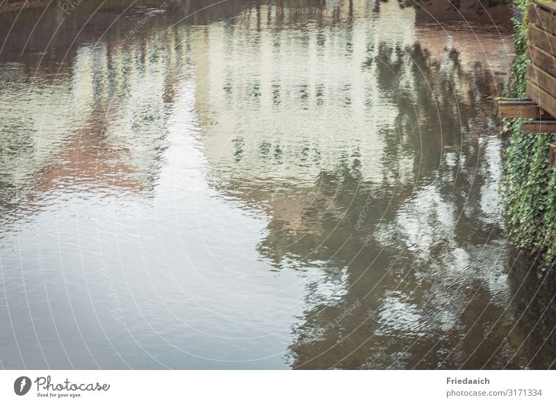 Reflection in the water Nature Landscape Water River bank Small Town House (Residential Structure) Observe Discover Looking Dream Fluid Glittering Cold Wet