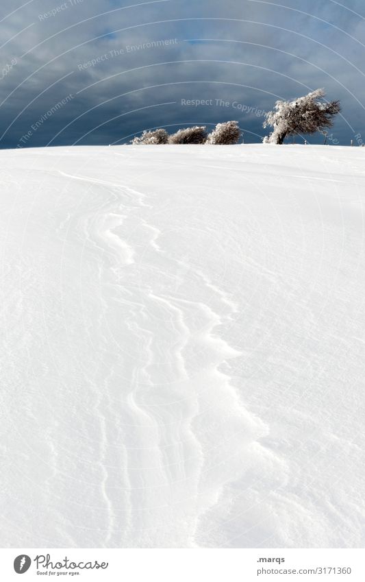 formation Nature Landscape Sky Storm clouds Winter Snow Tree 4 Cold Tilt Ice Dark Schauinsland Colour photo Exterior shot Deserted Copy Space bottom