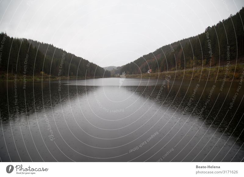 Black Forest reservoir Reservoir Water Landscape Lake Exterior shot Mountain Sky Nature Provision Colour photo cloudy weather Linachtal dam