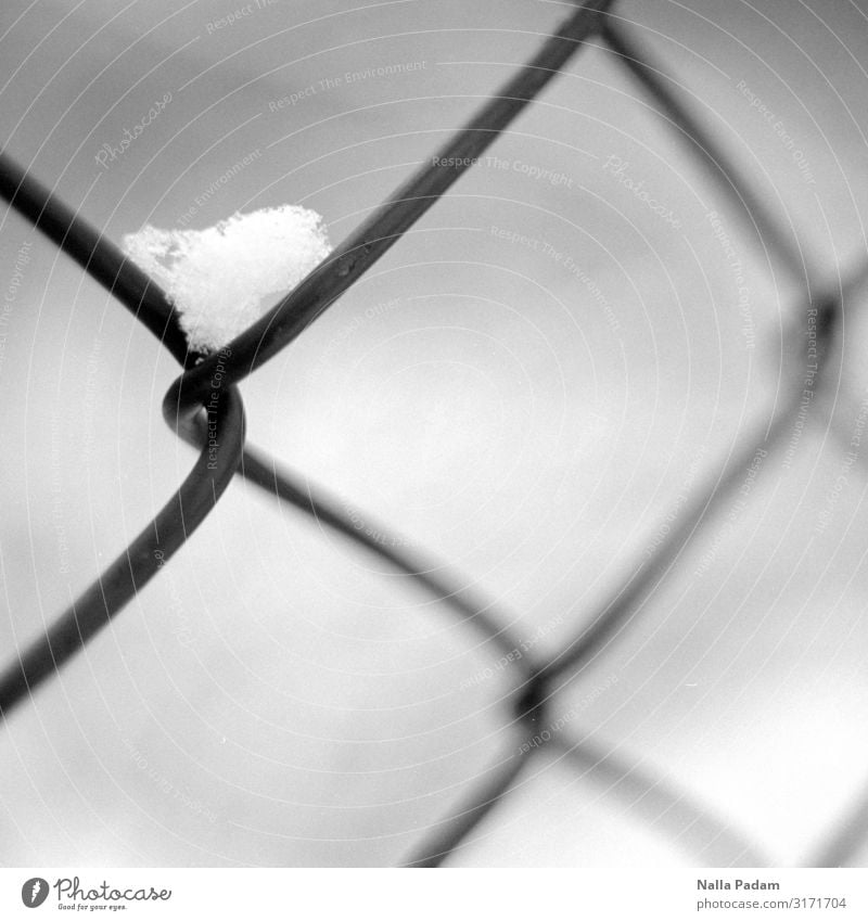 snow corner Nature Snow Fence Black White Barrier Black & white photo Exterior shot Deserted