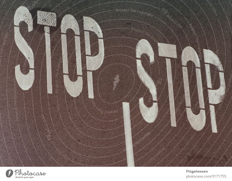 STOP | STOP Street Road traffic people off Lane markings Traffic lane pedestrian Pedestrian crossing Wait Tar Crossroads Arrow Marker line Stop Stop sign