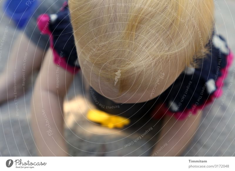 a piece of cake Human being Toddler Head Hair and hairstyles 1 Sand Playing Multicoloured Emotions Sandpit Playground Affection Concentrate Colour photo