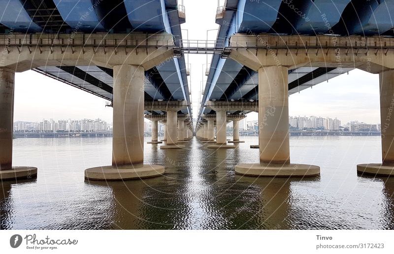 under the bridge River hillside Capital city Skyline Bridge Transport Traffic infrastructure Highway Exceptional Large Long Town Blue Connection Bridge pier