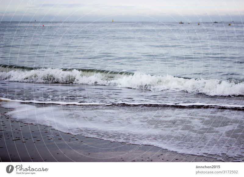 Sea noise II Ocean Beach Netherlands Vacation & Travel Relaxation Nature Sand Water Exterior shot Waves Hissing Air Foam Autumn Break Meditation Sky Clouds