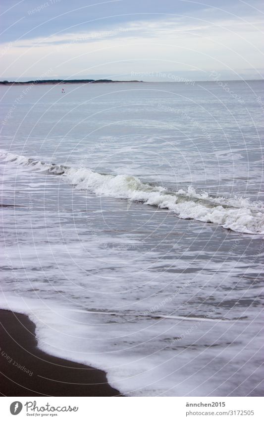 Sea noise I Ocean Beach Netherlands Vacation & Travel Relaxation Nature Sand Water Exterior shot Waves Hissing Air Foam Autumn Break Meditation Sky Clouds White