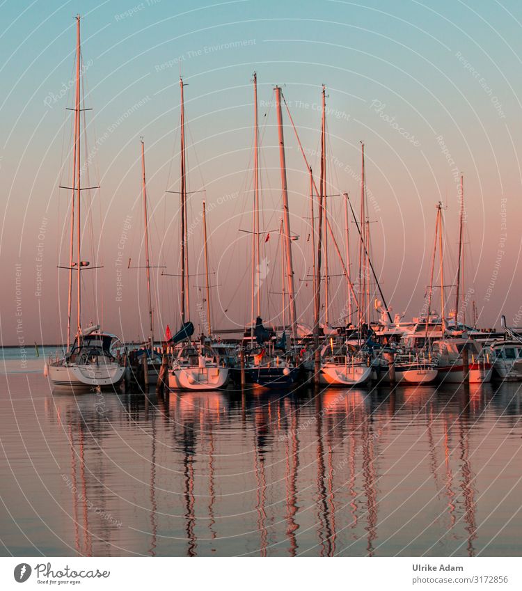 Sailboats in the sunset at the marina in Dragor/ Denmark Dragør Yacht harbour sailboats Navigation Sunset travel vacation Tourism Baltic Sea Ocean